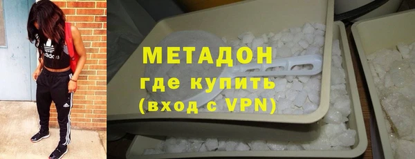 прущие грибы Бронницы