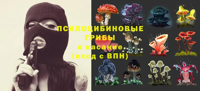 Псилоцибиновые грибы Psilocybine cubensis  кракен ТОР  Знаменск  как найти закладки 